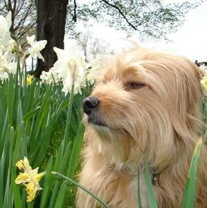 Meet your Posher, Beverly